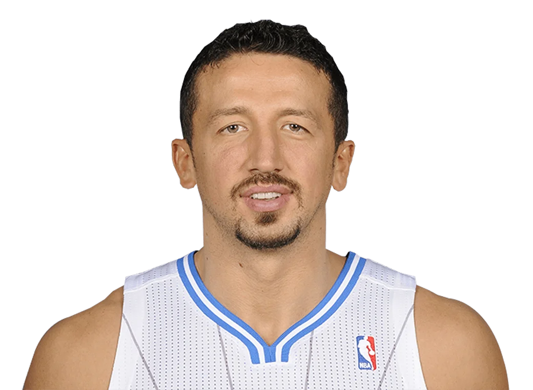 Hedo Turkoglu